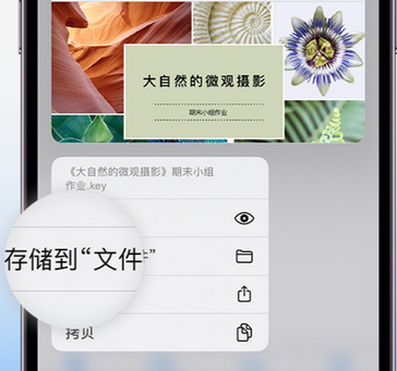 让胡路apple维修中心分享iPhone文件应用中存储和找到下载文件