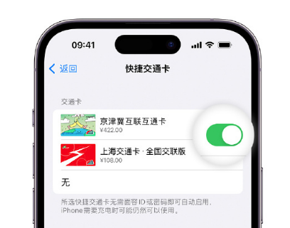 让胡路apple维修点分享iPhone上更换Apple Pay快捷交通卡手绘卡面 