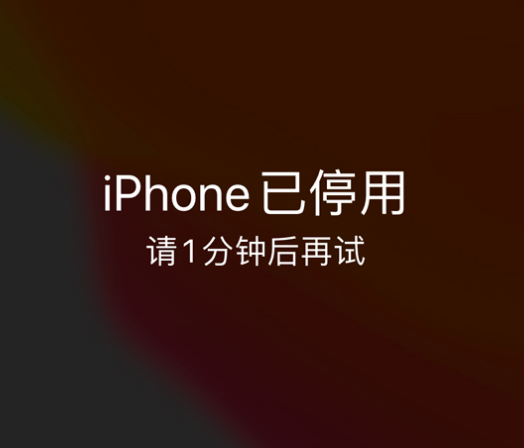 让胡路苹果手机维修分享:iPhone 显示“不可用”或“已停用”怎么办？还能保留数据吗？ 