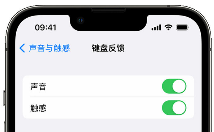 让胡路苹果手机维修分享iPhone 14触感键盘使用方法 