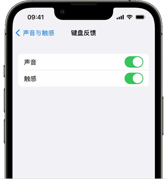 让胡路苹果14维修店分享如何在 iPhone 14 机型中使用触感键盘 