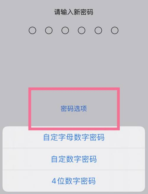 让胡路苹果14维修分享iPhone 14plus设置密码的方法 