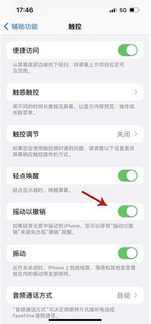 让胡路苹果手机维修分享iPhone手机如何设置摇一摇删除文字 